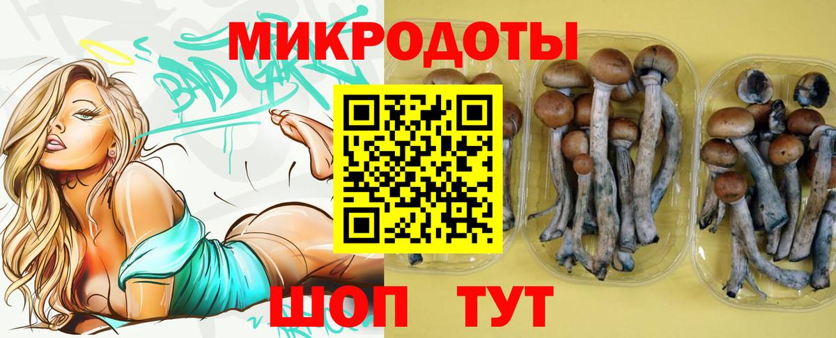 Псилоцибиновые грибы ЛСД Чернушка