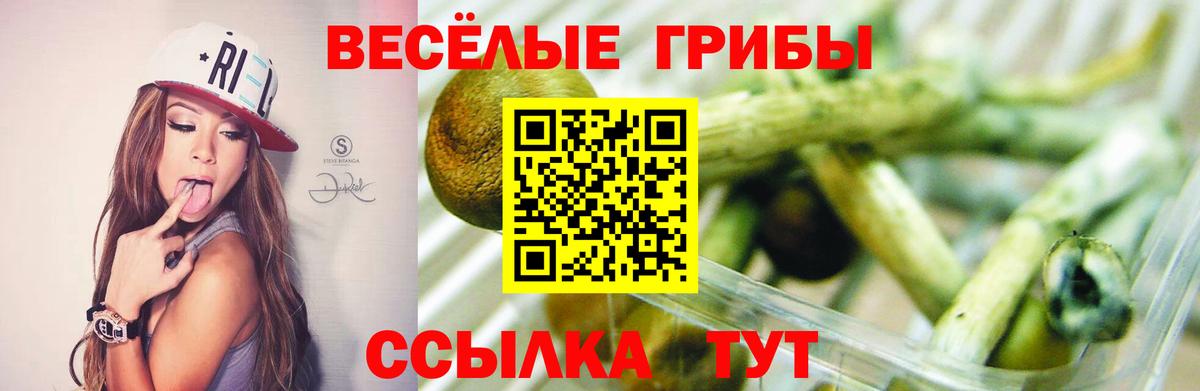 Галлюциногенные грибы мухоморы  Вход с VPN  Чернушка 